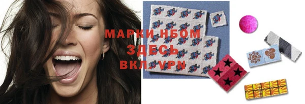 прущие грибы Верея