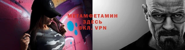 прущие грибы Верея