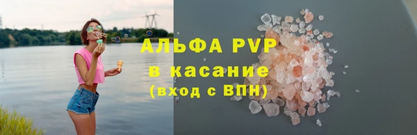 прущие грибы Верея