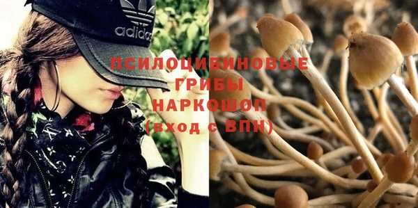соль курить ск Верхний Тагил