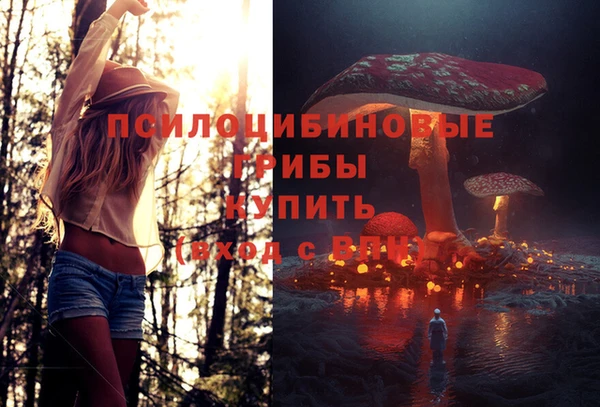 соль курить ск Верхний Тагил