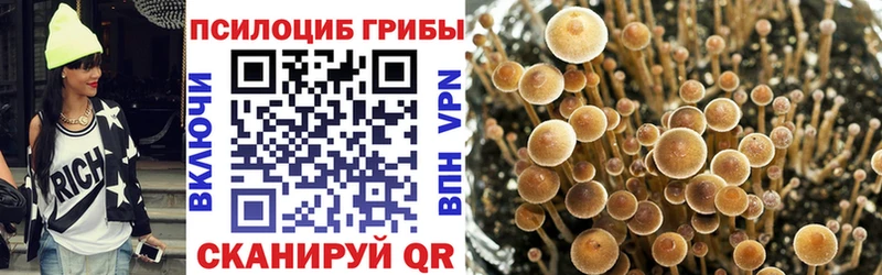 нарко площадка какой сайт  сколько стоит  Кизляр  Псилоцибиновые грибы мухоморы 